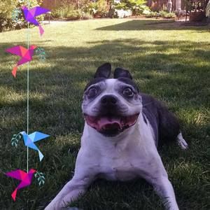 Meet your Posher, Shawn